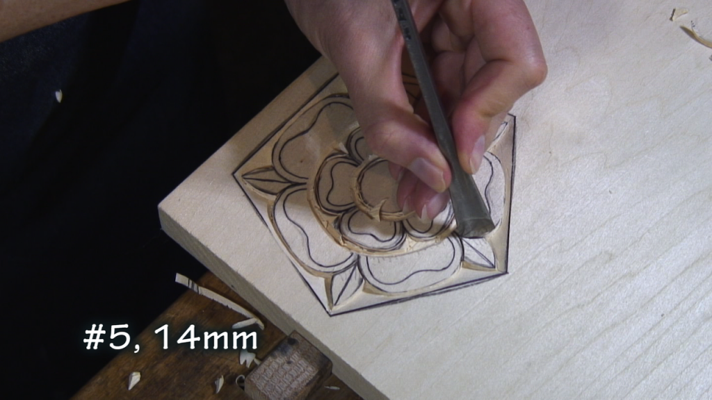 With a #7, 12mm, make a vertical cut to separate the larger petals from the small leaves.